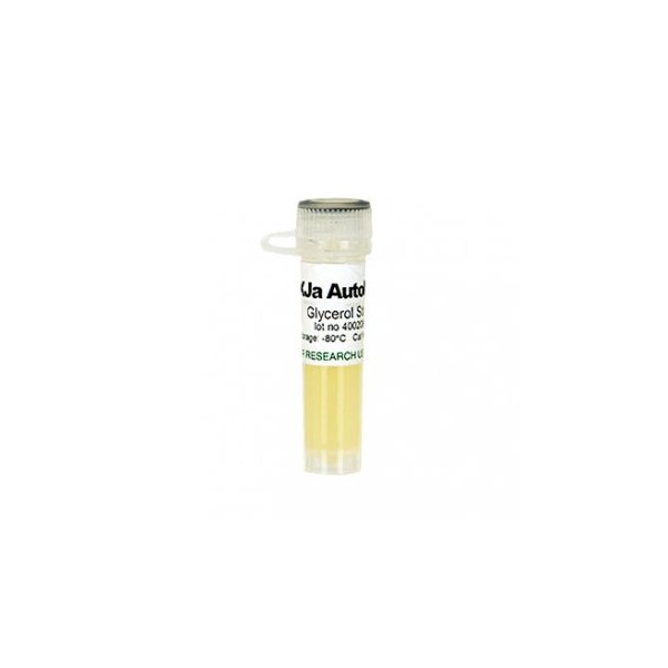 XJa(DE3) Autolysis w/1 Glycerol Stock & 1 ml 500X L-Arabinose